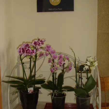 Bed & Breakfast A Due Passi