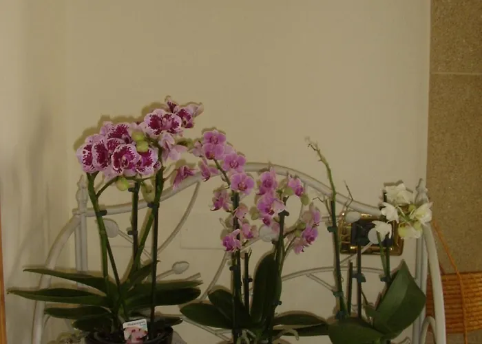 Bed & Breakfast A Due Passi